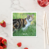 Serviette En Papier Chat brun et blanc (En situation)