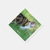 Serviette En Papier Chat brun et blanc (Coin)