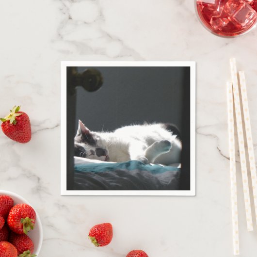 Serviette En Papier Chat dans Sunspot Ne pas déranger (En situation)