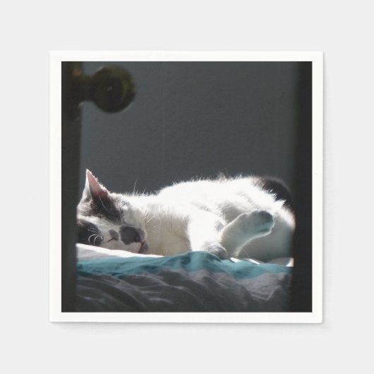 Serviette En Papier Chat dans Sunspot Ne pas déranger (Devant)