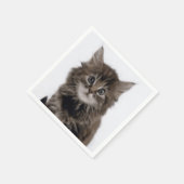 SERVIETTE EN PAPIER CHAT DE LA CUISINE (Coin)