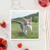 Serviette En Papier Chat doux (En situation)