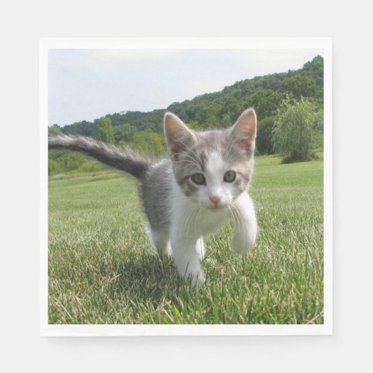 Serviette En Papier Chat doux (Devant)