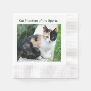 Serviette En Papier Chat Fantôme de l'Opéra