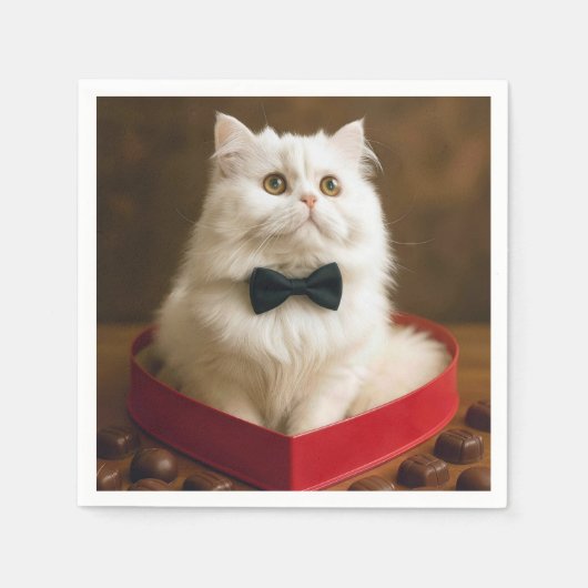 Serviette En Papier Chat Persan de la Saint-Valentin dans une boîte de (Devant)