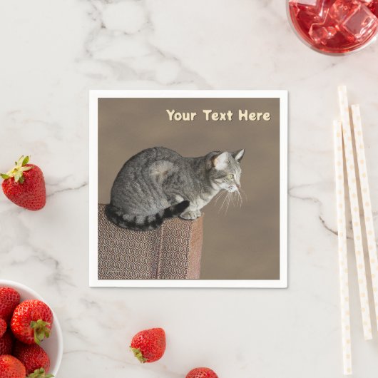 Serviette En Papier Chat Tabby Gris Fumé (En situation)