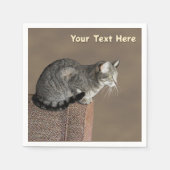 Serviette En Papier Chat Tabby Gris Fumé (Devant)