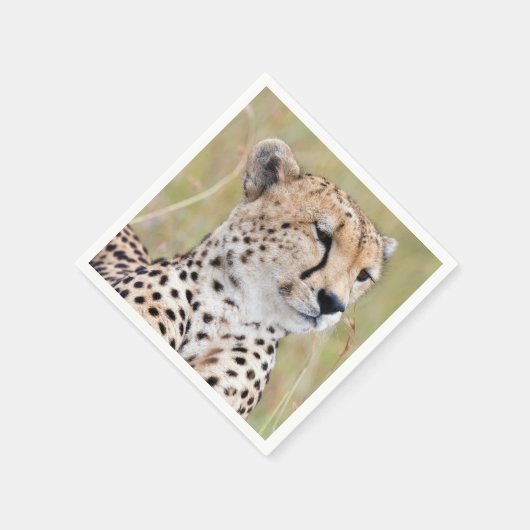 Serviette En Papier Cheetah (Coin)