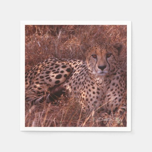 Serviette En Papier Cheetah Stare (Devant)