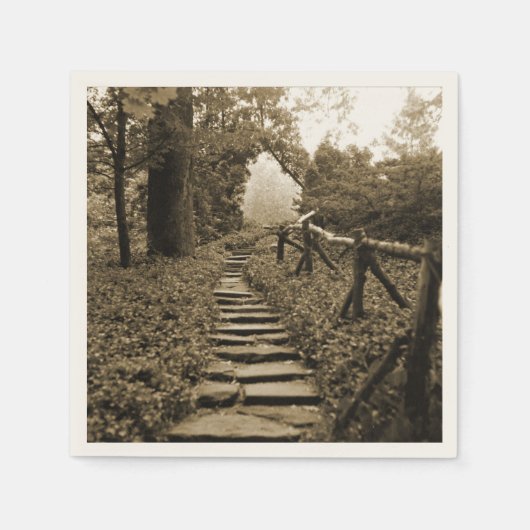 Serviette En Papier Chemin vers la lumière (Devant)