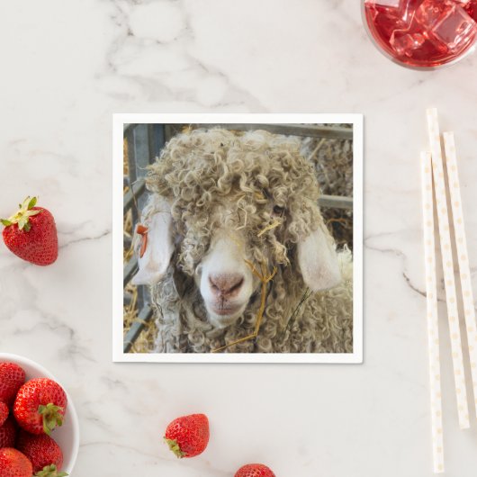 SERVIETTE EN PAPIER CHÈQUE CUTE (En situation)