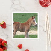 Serviette En Papier Cheval (En situation)