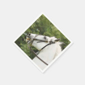 SERVIETTE EN PAPIER CHEVAL BLANC (Coin)