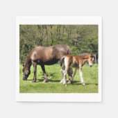 SERVIETTE EN PAPIER CHEVAUX (Devant)