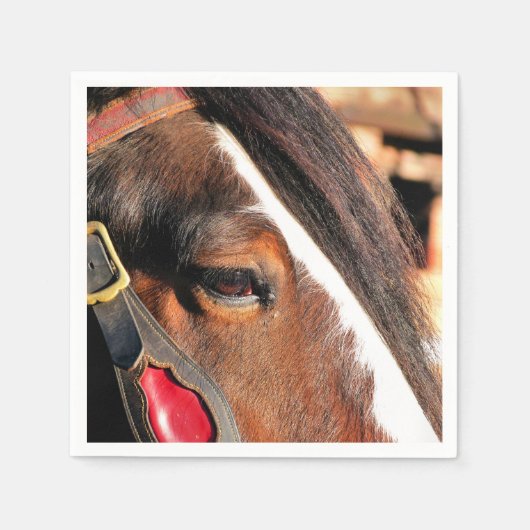 SERVIETTE EN PAPIER CHEVAUX (Devant)