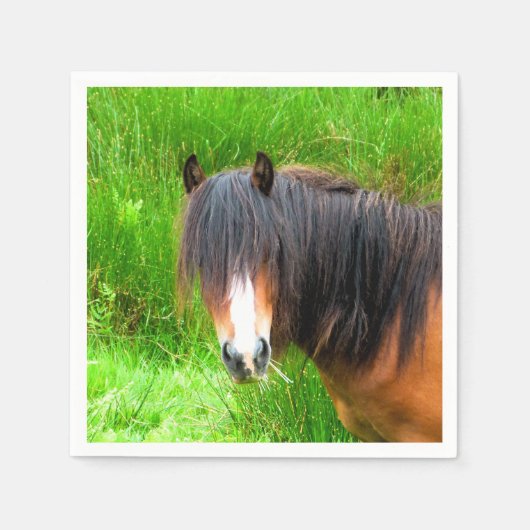 SERVIETTE EN PAPIER CHEVAUX (Devant)