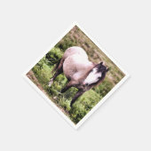 SERVIETTE EN PAPIER CHEVAUX (Coin)