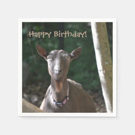 Serviette En Papier Chevre De Joyeux Anniversaire Zazzle Be Serviette En Papier Chevre De Joyeux Anniversaire Zazzle Be