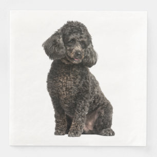 Serviette En Papier Chien Caniche Noir Chiot Mariage Fête Anniversaire