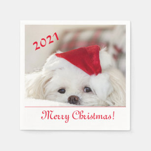 Serviette En Papier Chien chiot maltais blanc mignon dans un chapeau d