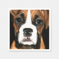 Chien de chiot de boxe