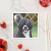 Serviette En Papier Chien d'eau portugais (En situation)