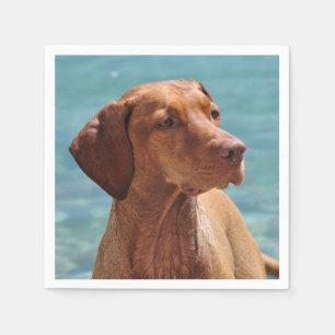 Serviette En Papier Chien Magyar Vizsla