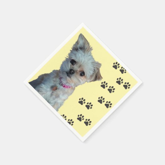 Serviette En Papier Chien napkin (Coin)
