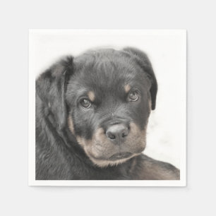 Serviette En Papier Chien Rottweiler