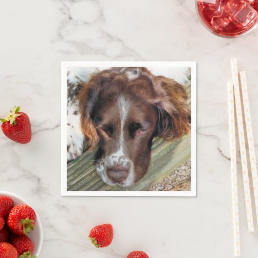 SERVIETTE EN PAPIER CHIENS (En situation)