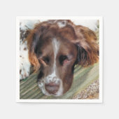 SERVIETTE EN PAPIER CHIENS (Devant)