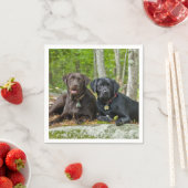 Serviette En Papier Chiens Chiens Marionnettes Black Lab Chocolat Labr (En situation)