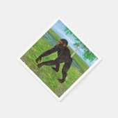 Serviette En Papier Chimpanzé (Coin)