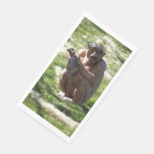 SERVIETTE EN PAPIER CHIMPANZEE (Coin)