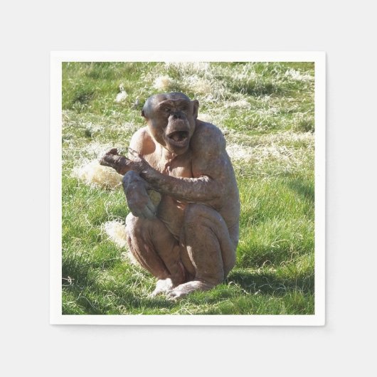 SERVIETTE EN PAPIER CHIMPANZEE (Devant)