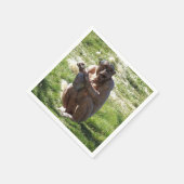 SERVIETTE EN PAPIER CHIMPANZEE (Coin)