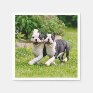 Serviette En Papier Chiots de Boston Terrier joyeux et amusants jouant