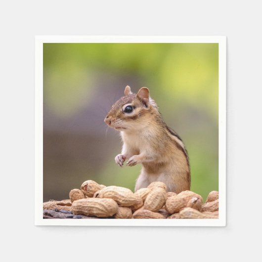 Serviette En Papier Chipmunk aux cacahuètes (Devant)