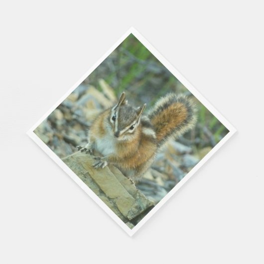 Serviette En Papier Chipmunk dans le parc national des Glaciers (Coin)