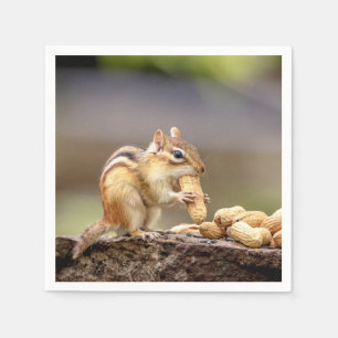 Serviette En Papier Chipmunk mange une cacahuète