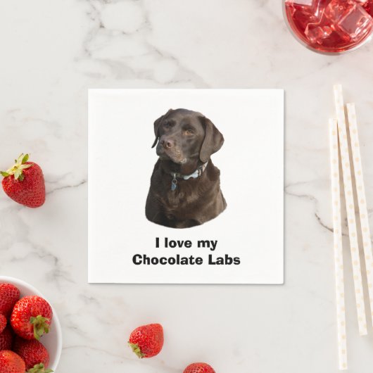Serviette En Papier Chocolate Labrador dog photo (En situation)