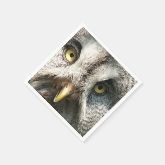 Serviette En Papier Chouette (Coin)