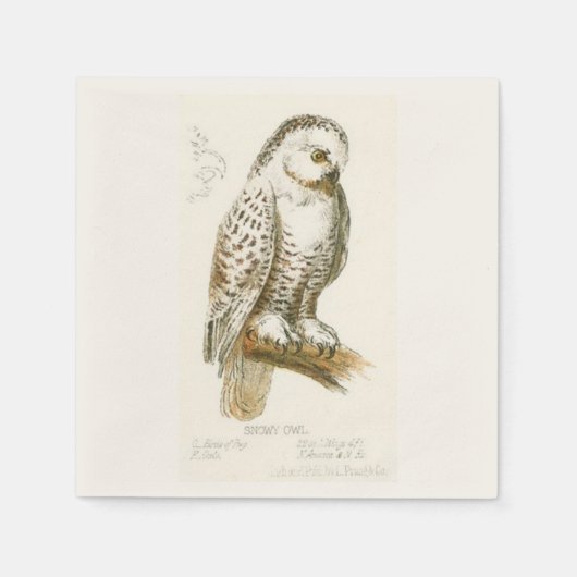 Serviette En Papier Chouette des neiges (Devant)