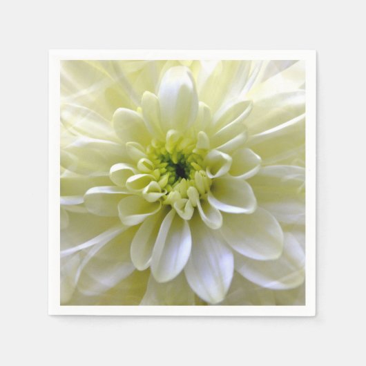 SERVIETTE EN PAPIER CHRYSANTHEMUMS (Devant)