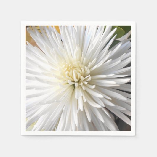 Serviette En Papier Claricia (Devant)