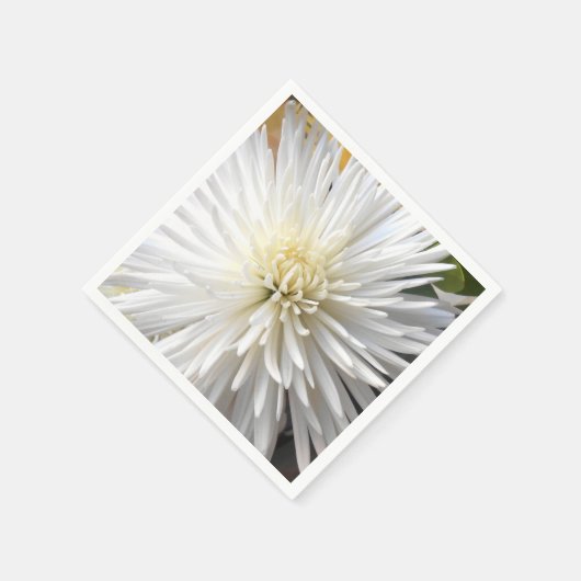 Serviette En Papier Claricia (Coin)