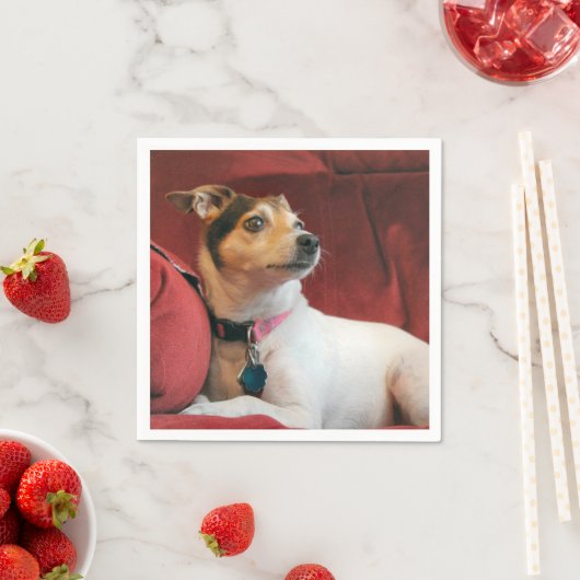 Serviette En Papier Classique (En situation)