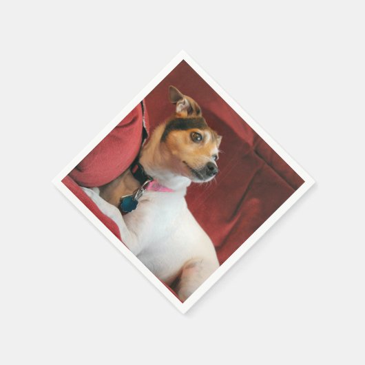 Serviette En Papier Classique (Coin)