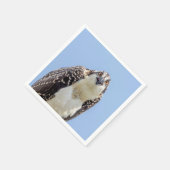 Serviette En Papier Closeup d'un balbuzard juvénile (Coin)