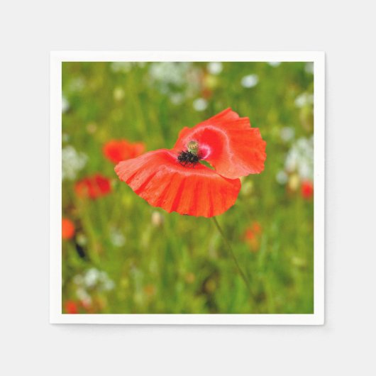Serviette En Papier Closeup of poppies (Devant)